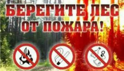 “О введении в лесном фонде города Белебея особого противопожарного режима”