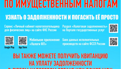 Управление Федеральной налоговой службы по Республике Башкортостан рекомендует гражданам проверить задолженность по налогам.
