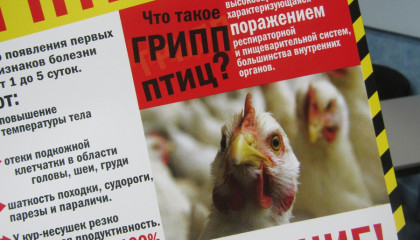 Профилактика очагов высокопатогенного гриппа птиц.
