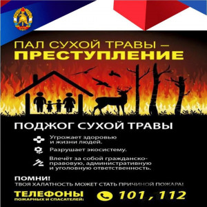 О запрете выжигания сухой травы в пожароопасный период